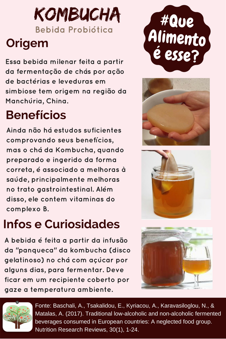 receita de kombucha com SCOBY