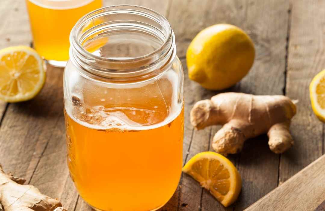 benefícios e riscos do consumo de kombucha