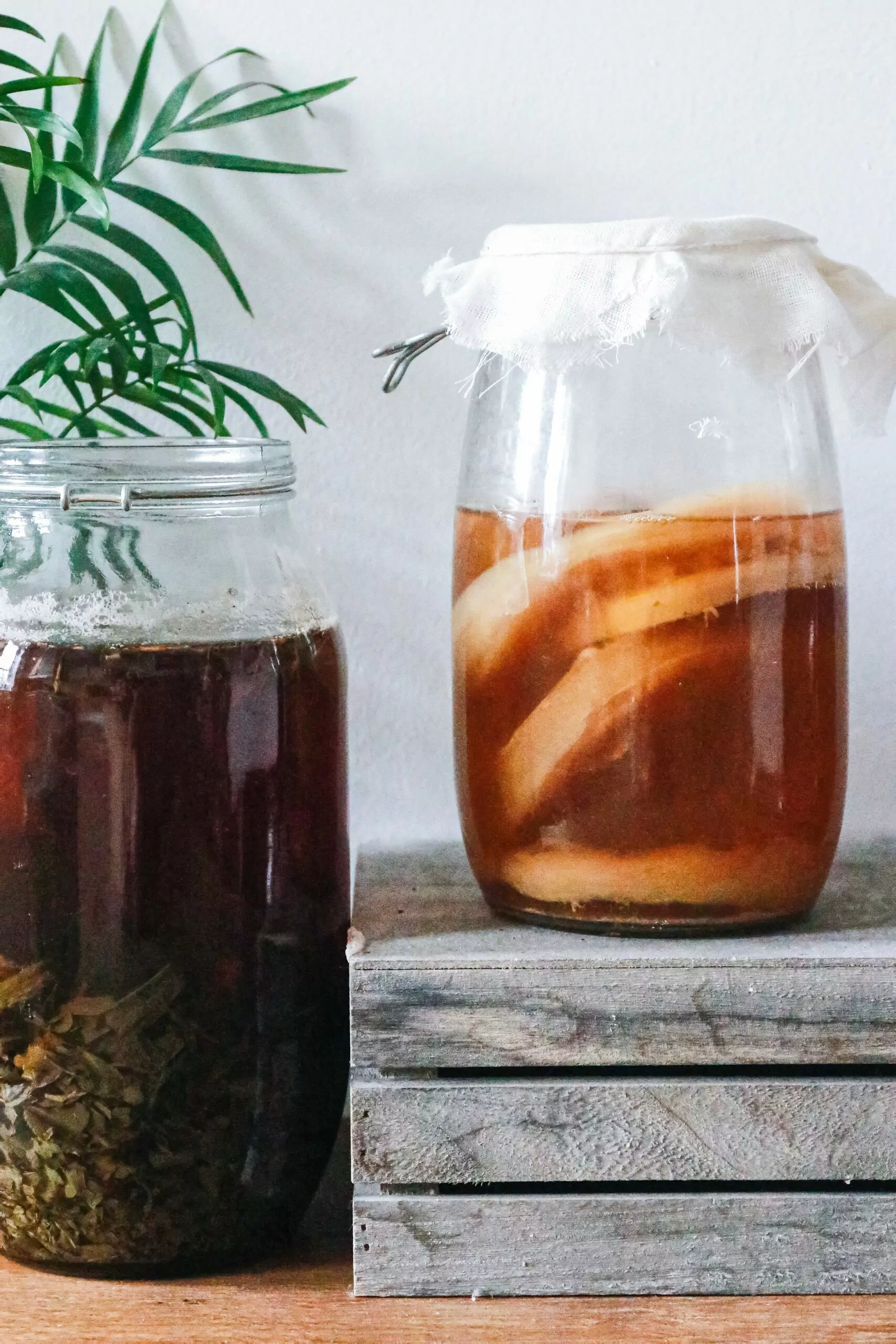 receita de kombucha com SCOBY