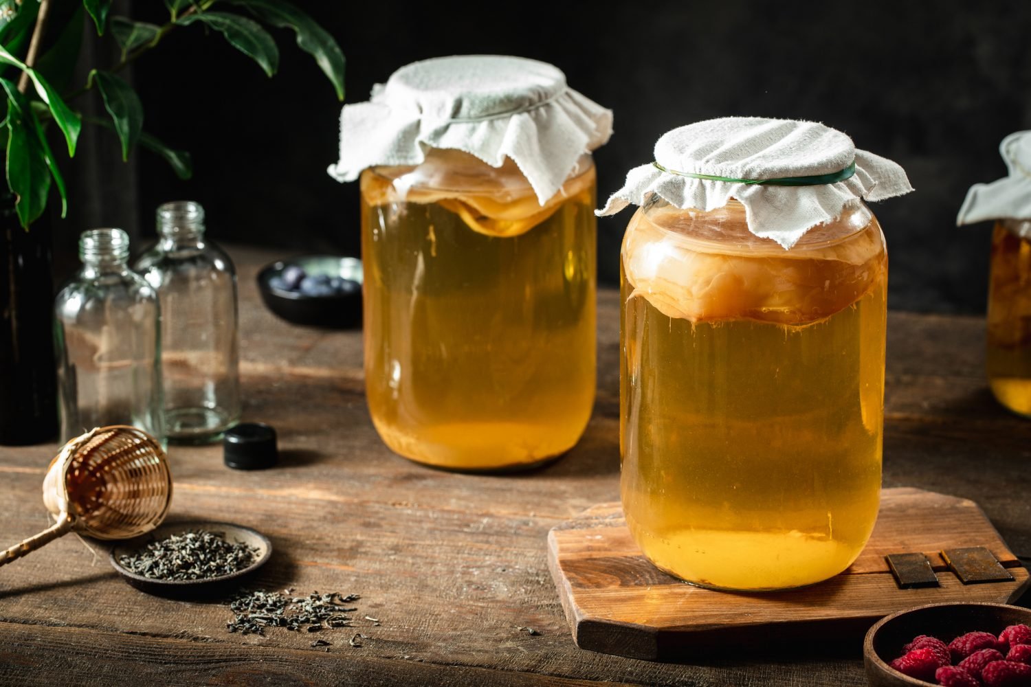 tempo de fermentação da kombucha