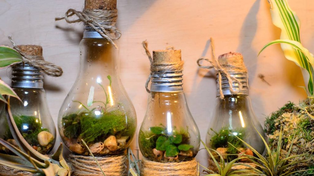 como fazer mini terrário com lâmpada queimada