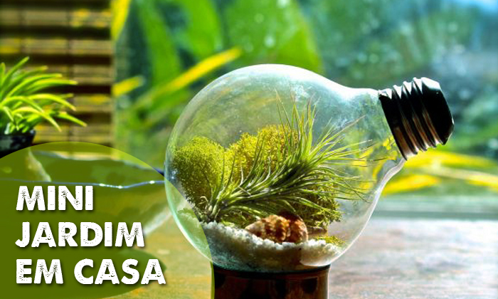 como fazer terrário em lâmpada