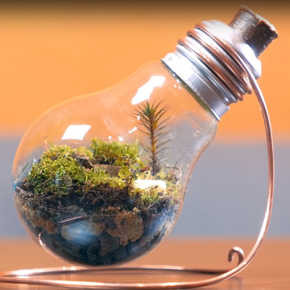 mini jardim em lâmpada passo a passo