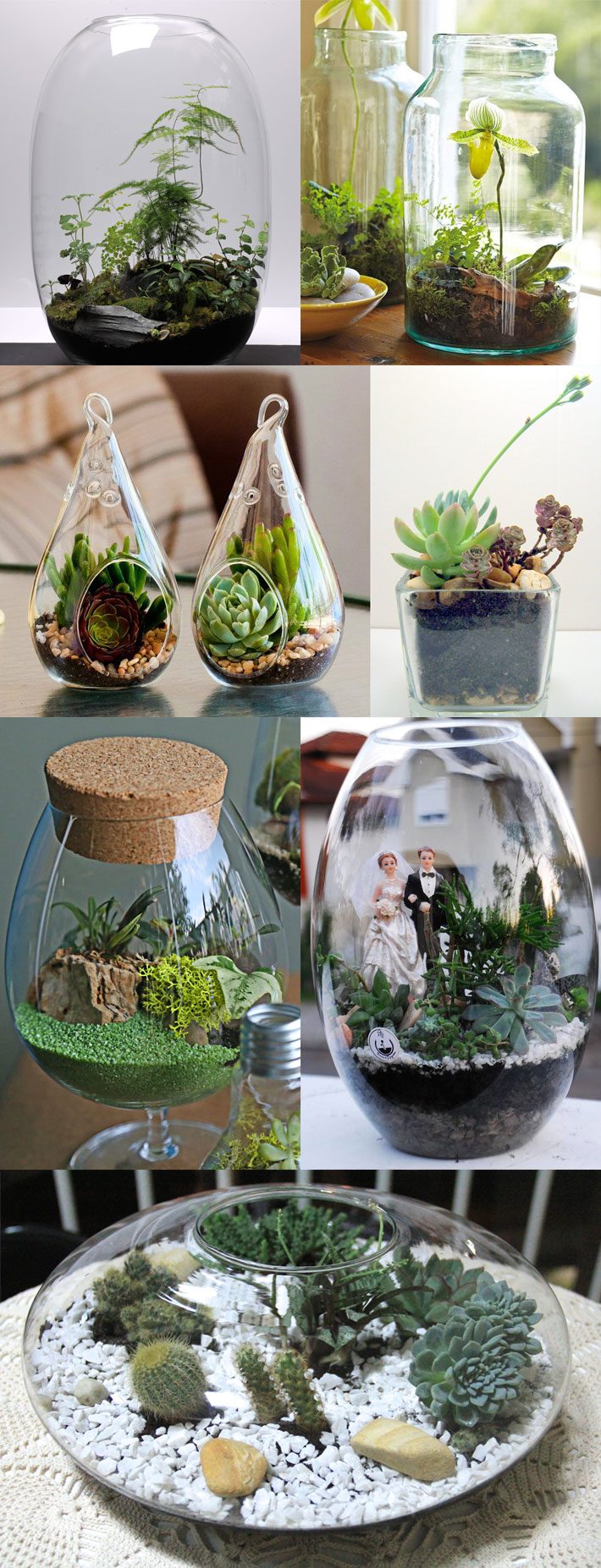 upcycling de lâmpada para plantas
