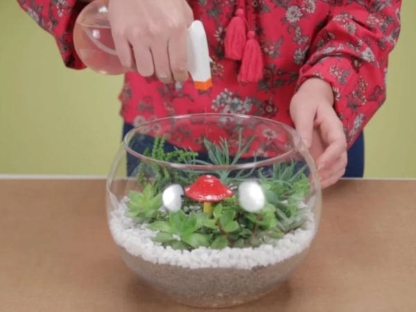 montar terrário em casa