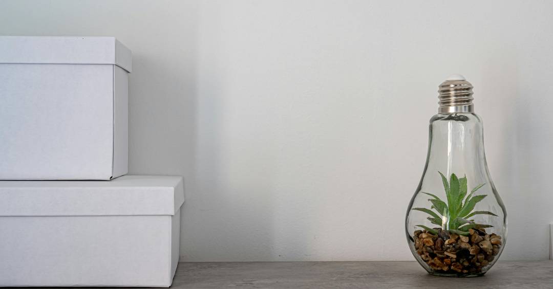 cuidados com mini terrário em lâmpada