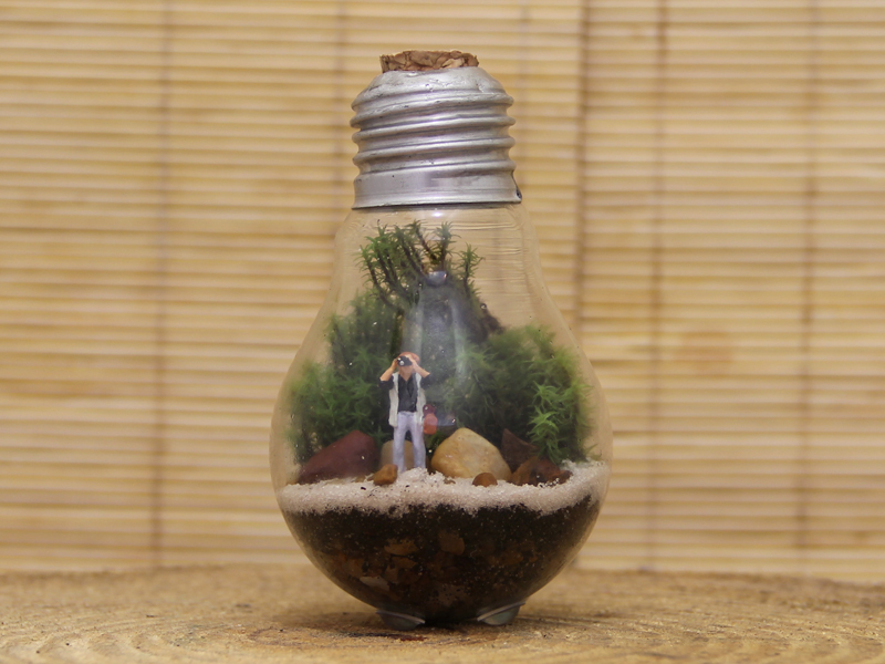 como fazer terrário em lâmpada