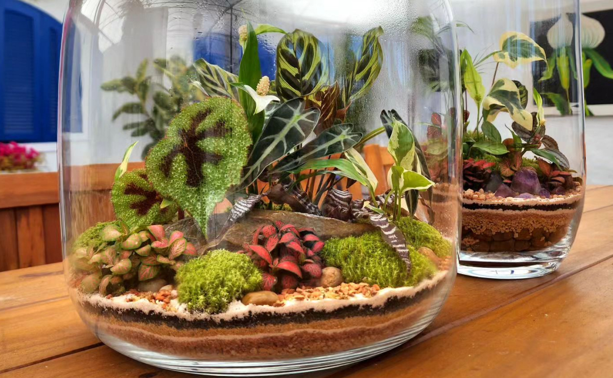 Fungos e Crescimento Excessivo