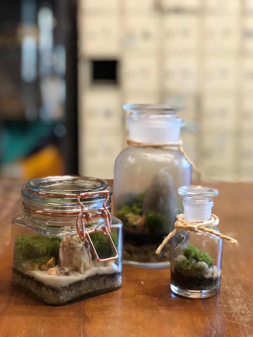 Como Fazer Terrário Fechado Autossustentável