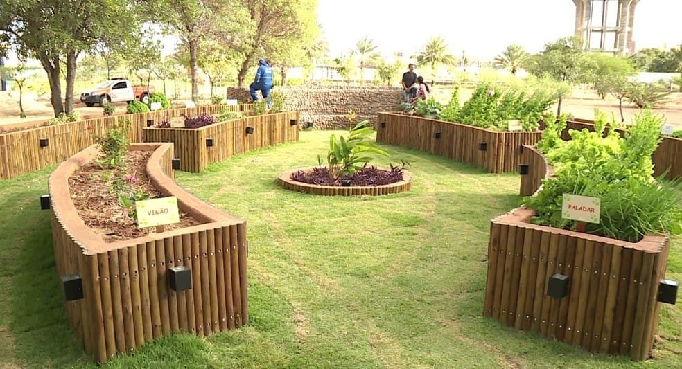 Guia Completo: Montando seu Jardim Sensorial em Pequenos Espaços