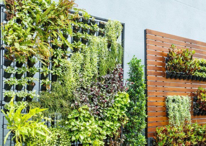 como fazer um jardim vertical em casa
