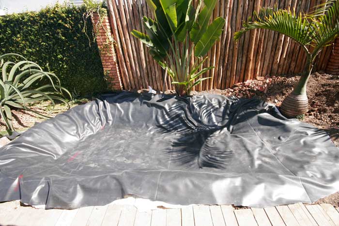 Como escolher o local ideal para seu lago ornamental