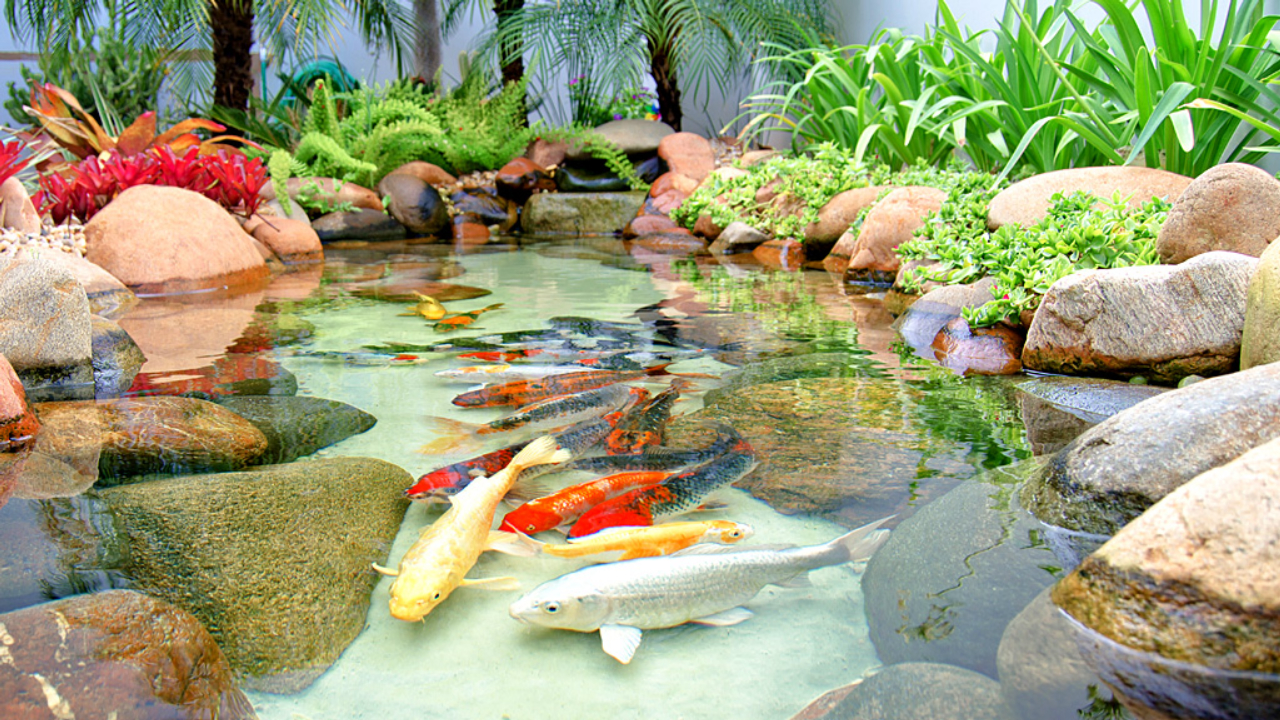 Guia completo de impermeabilização para lagos