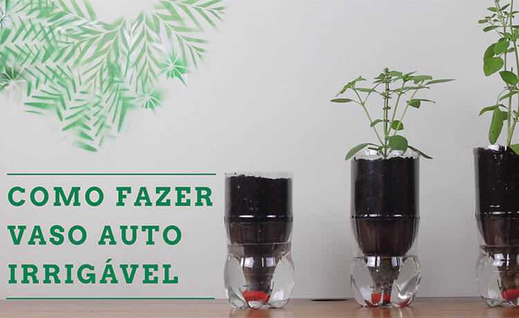 Como Fazer Vaso Auto Irrigável Simples e Eficaz