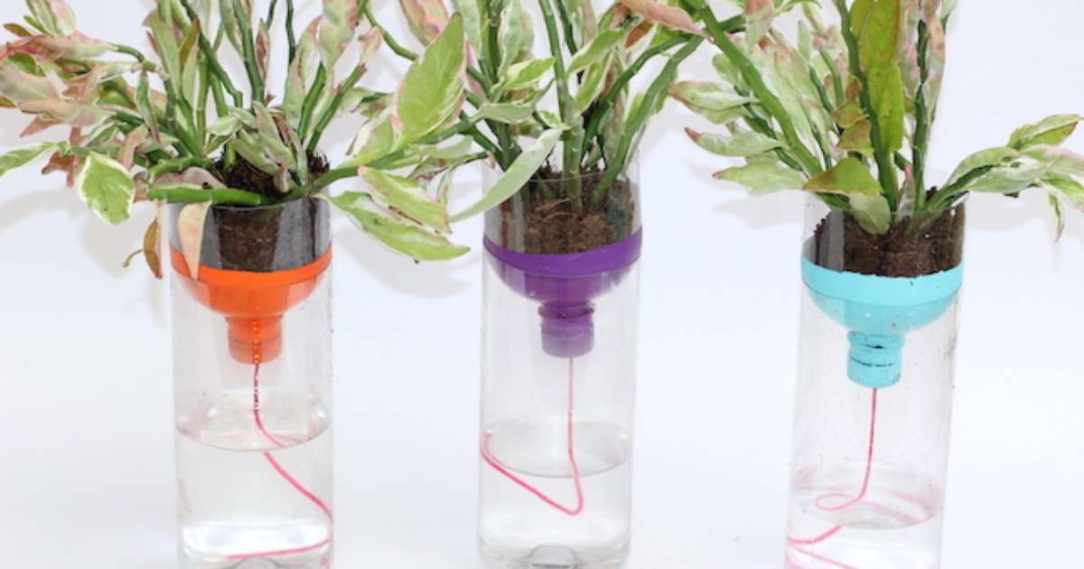 como fazer vaso autoirrigável garrafa pet