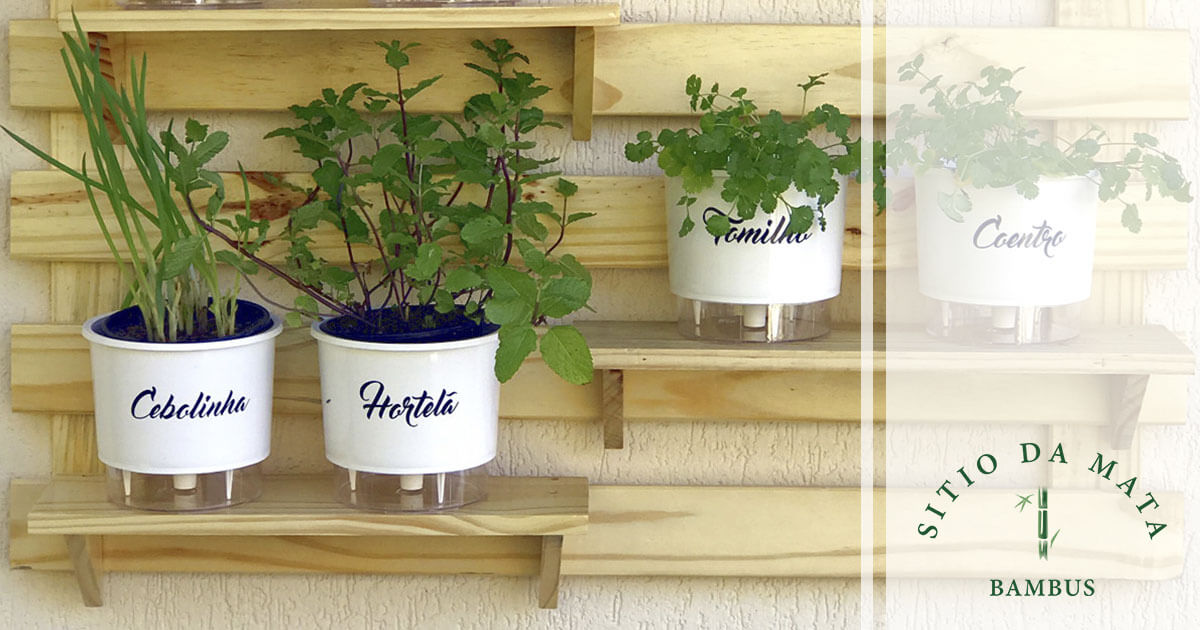 manter plantas hidratadas por uma semana