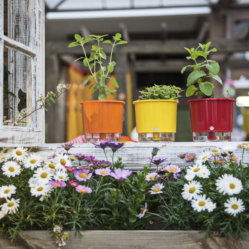 como fazer vaso autoirrigável garrafa pet