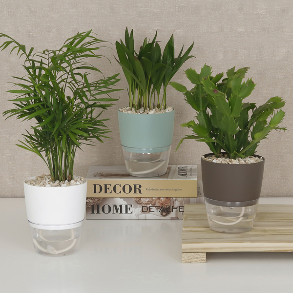 sistema de irrigação caseiro com garrafa pet