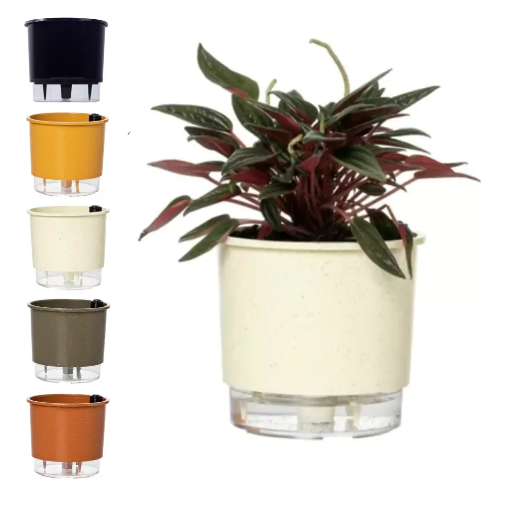 manter plantas hidratadas por uma semana