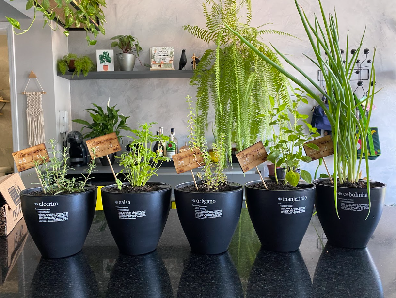 sistema de irrigação caseiro com garrafa pet