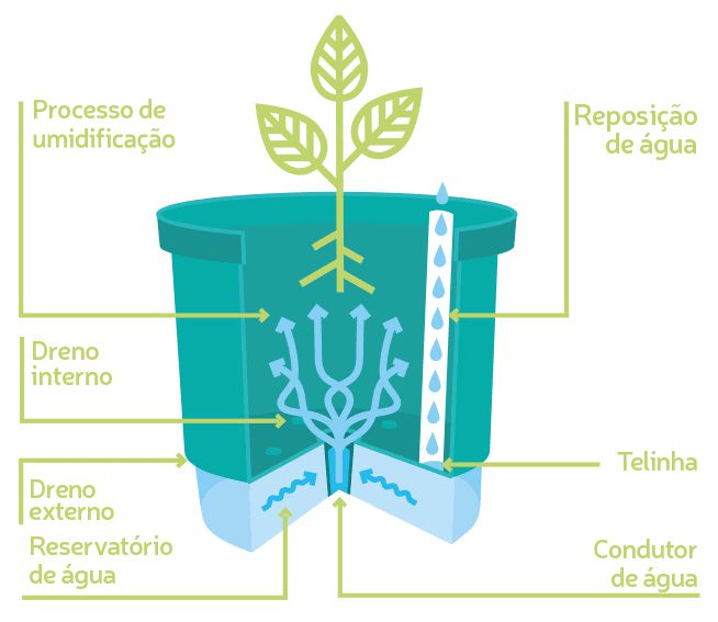 vaso de planta que se rega sozinho