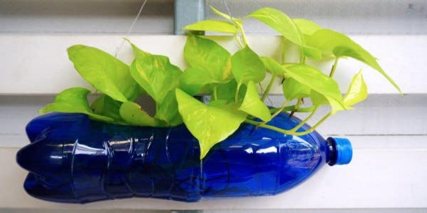 Substrato ideal para vasos PET: Dicas para um cultivo saudável