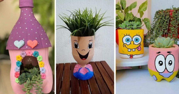 Guia completo: Como escolher as melhores plantas para vasos PET