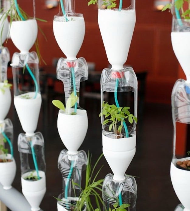 Horta vertical em casa: Passo a passo com garrafas PET