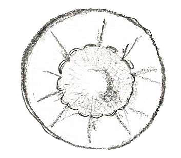 como forrar botões com tecido manualmente