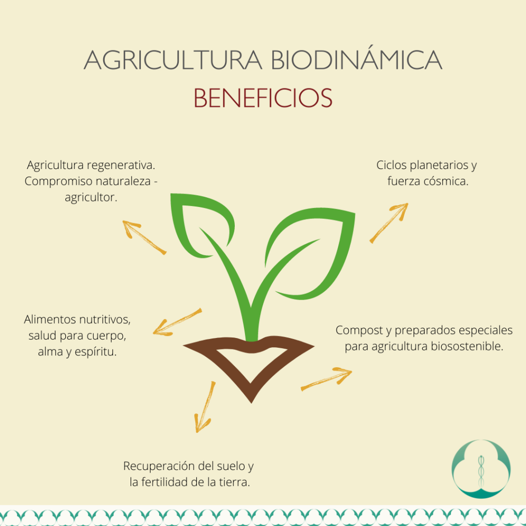 Guia Completo do Calendário Biodinâmico para Agricultores