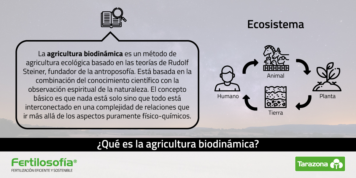 Agricultura Biodinâmica: Os 4 Pilares Essenciais