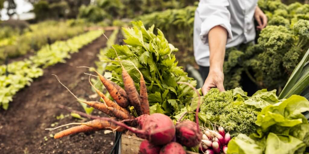 como funciona a agricultura biodinamica