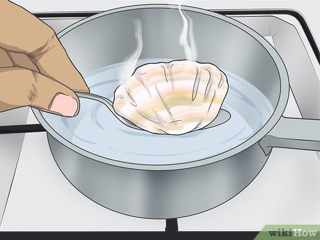 como furar conchas do mar