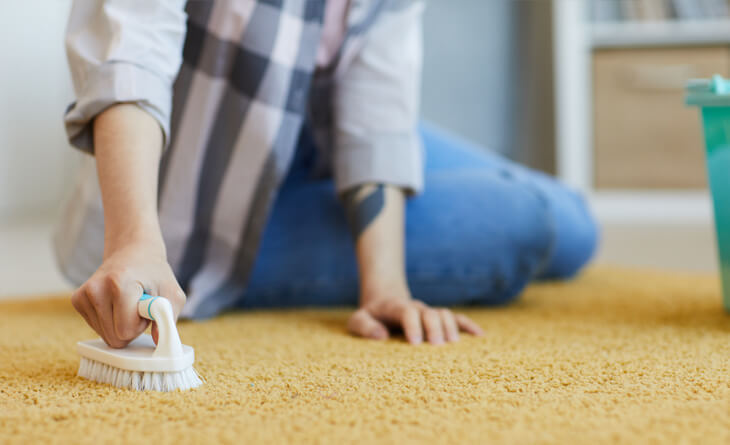 Guia completo para lavar tapetes persas