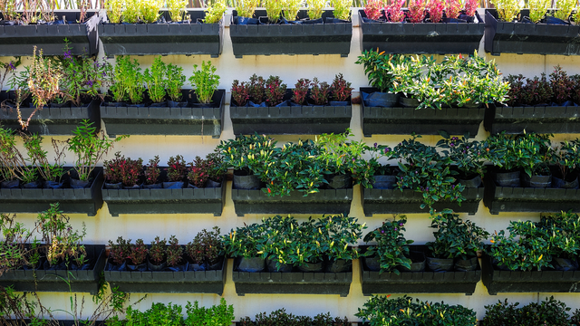 como montar horta vertical apartamento