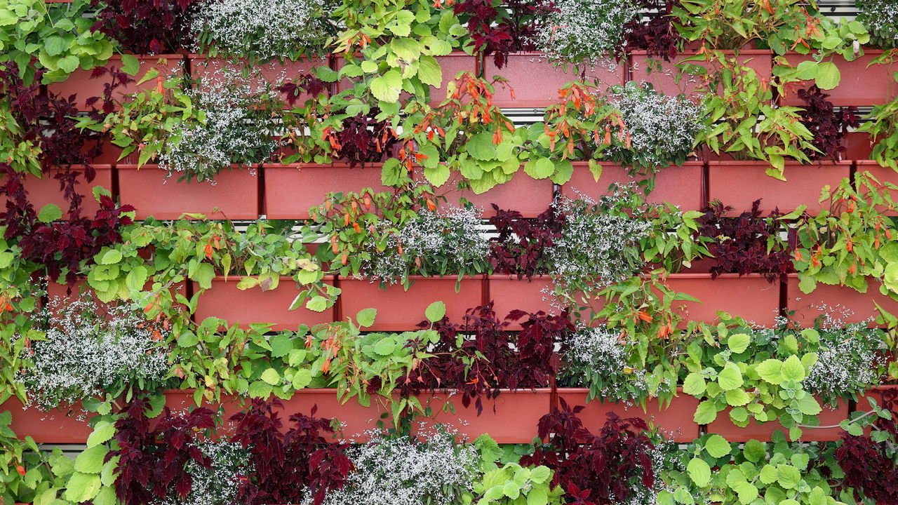 horta de varanda pequena