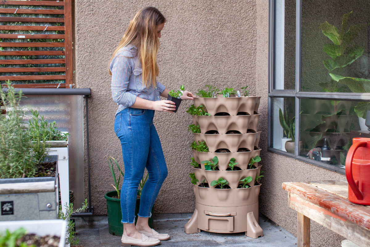 como montar uma horta vertical em casa