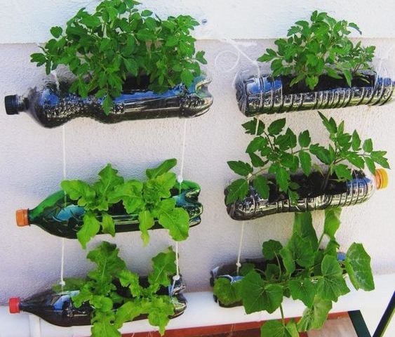 horta vertical para pouco espaço