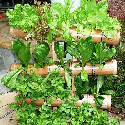 como montar horta vertical apartamento