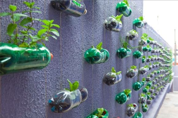 plantar temperos em casa verticalmente