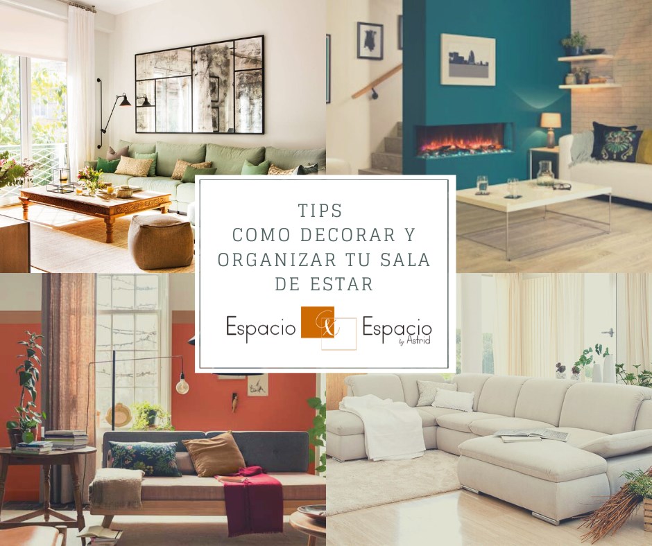 Decoração com plantas: traga vida para sua sala