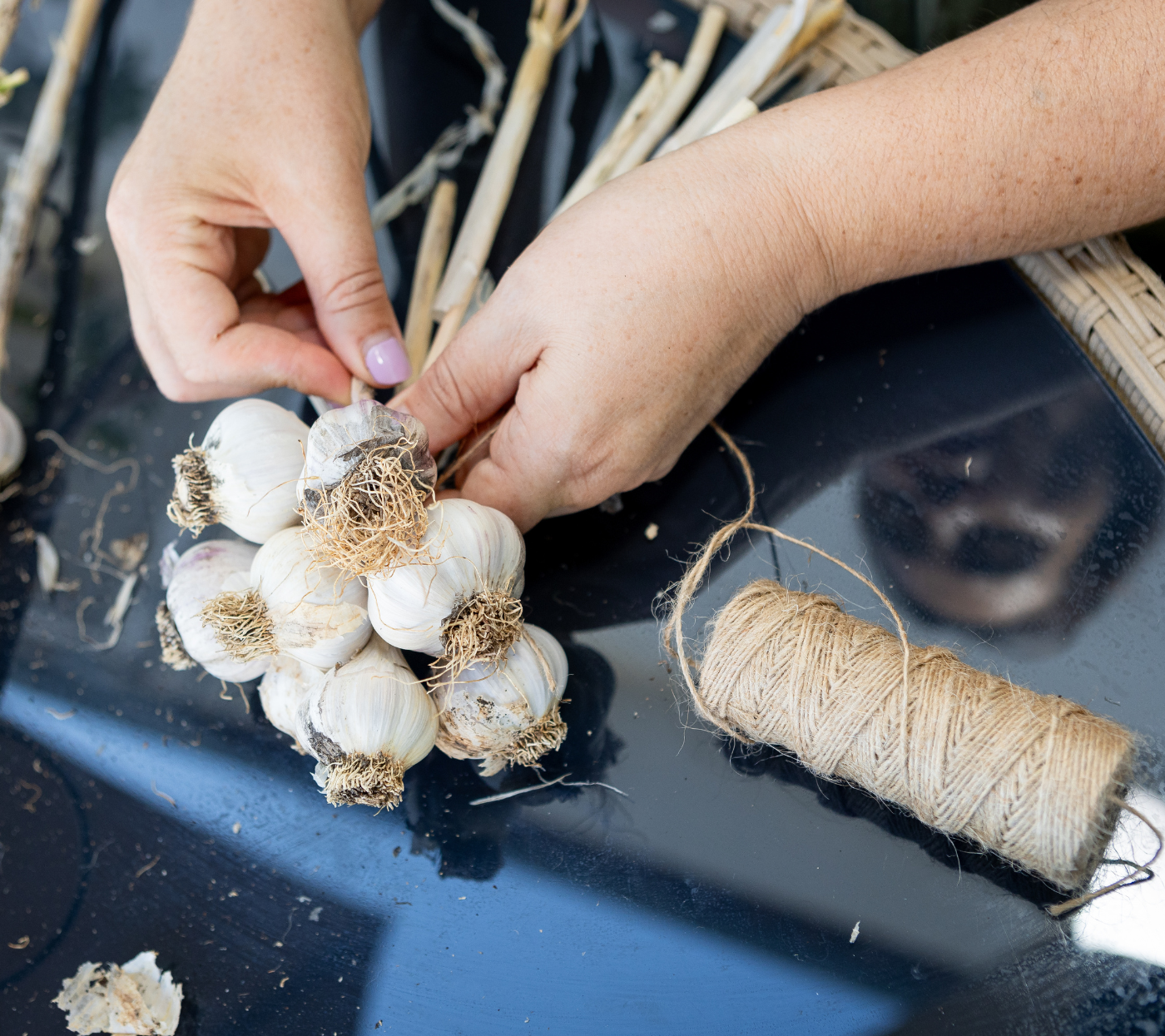 como plantar alho em casa