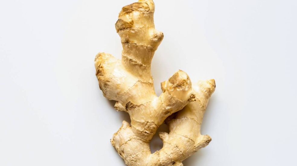 como plantar gengibre em casa