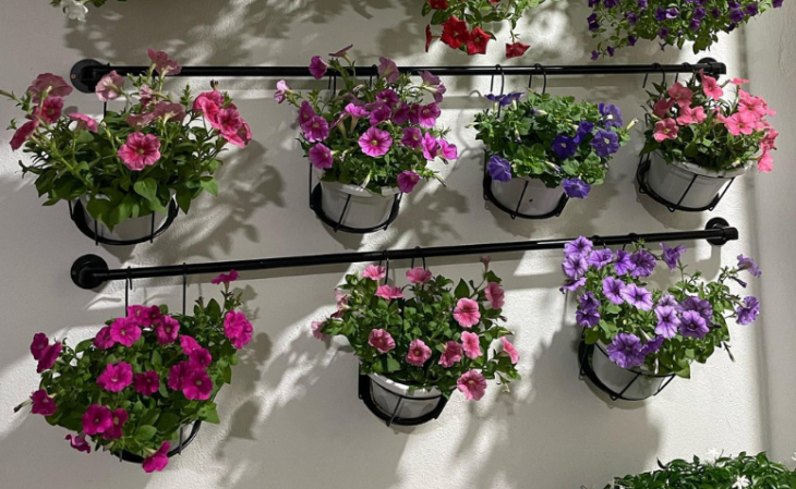 Como Proteger Suas Petúnias de Pragas e Doenças Comuns