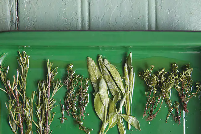 como secar ervas para chá