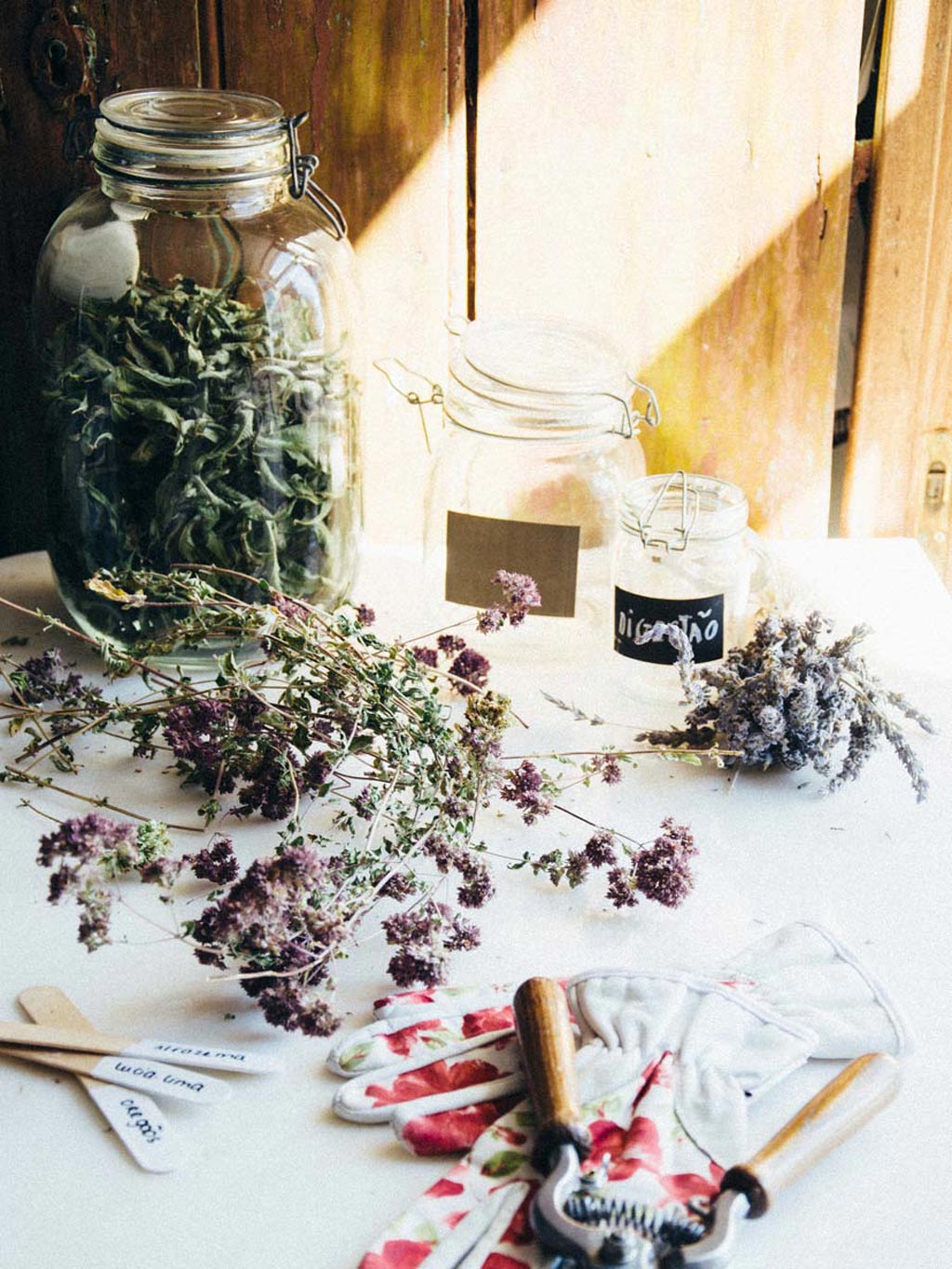 Receitas de Chás com Ervas Secas: Maximizando Sabor e Propriedades