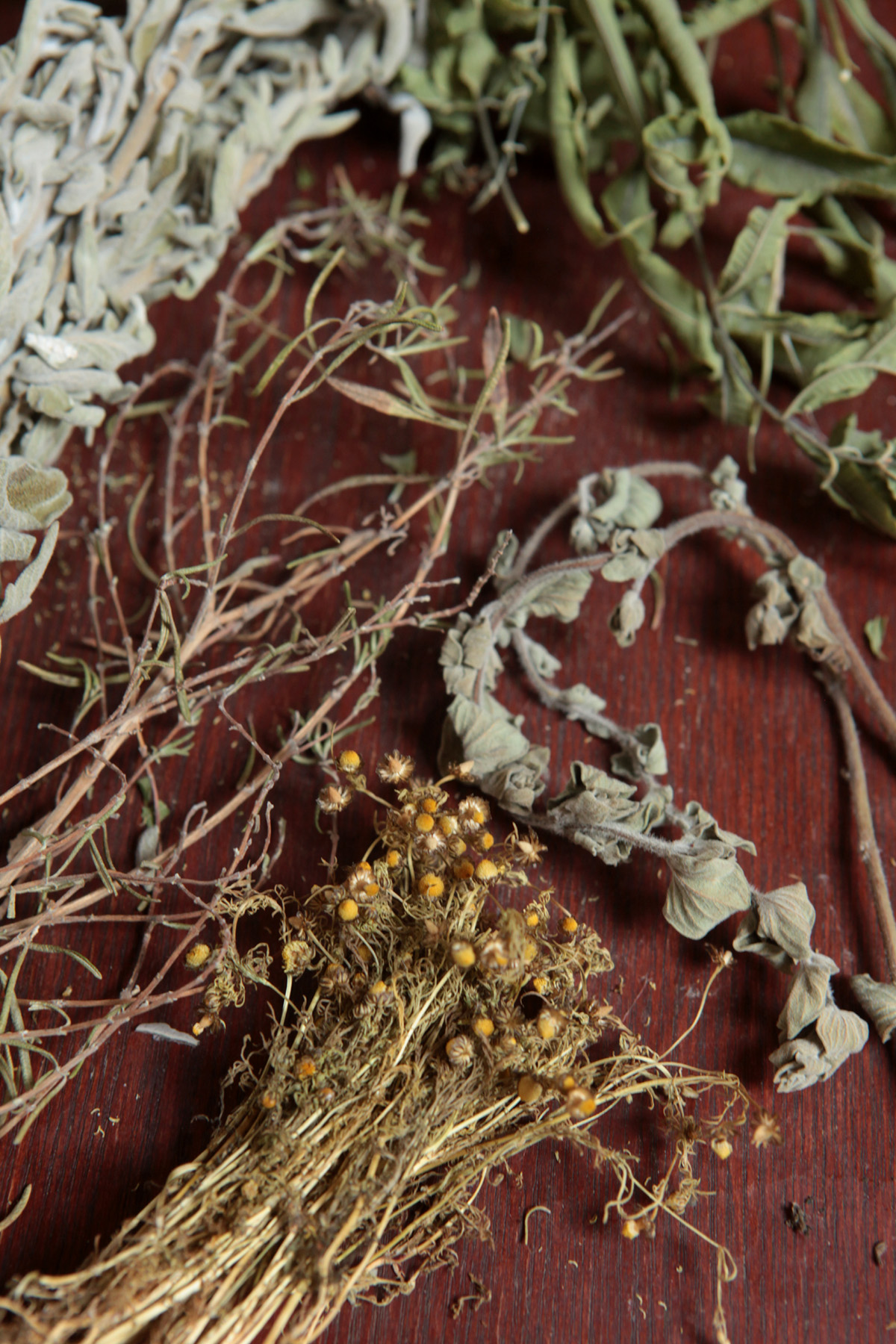 Ervas que Você Pode Cultivar e Secar Facilmente em Casa