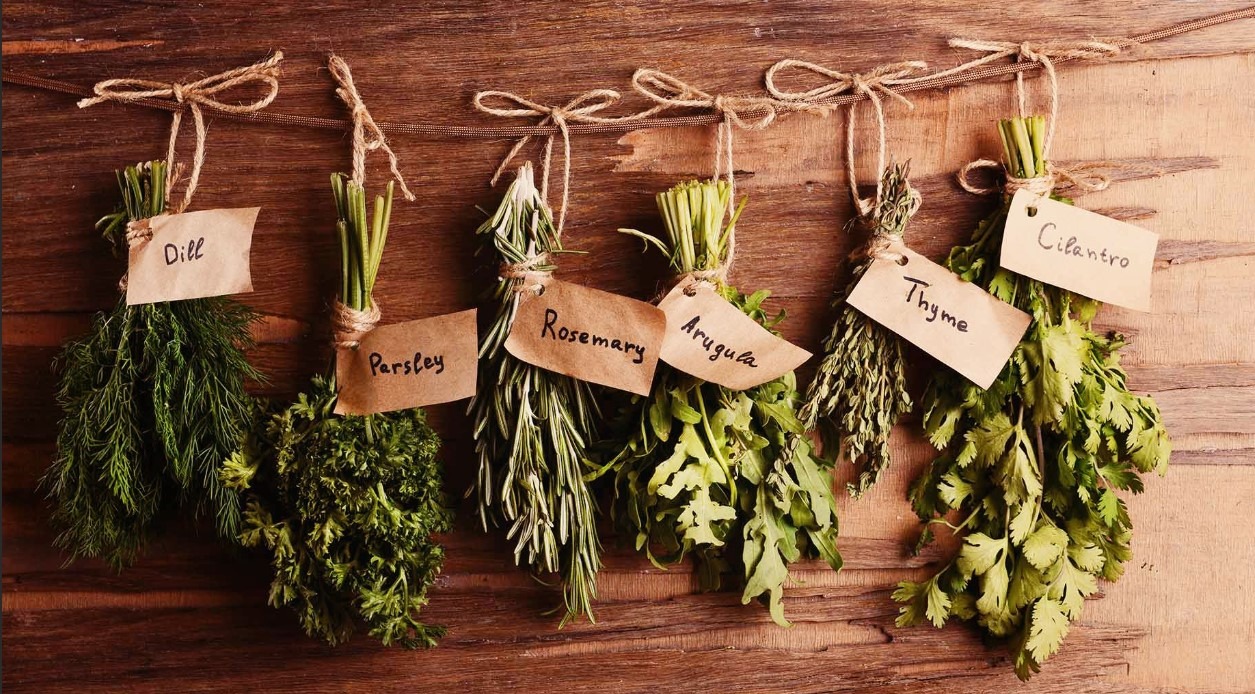 como secar ervas para chá