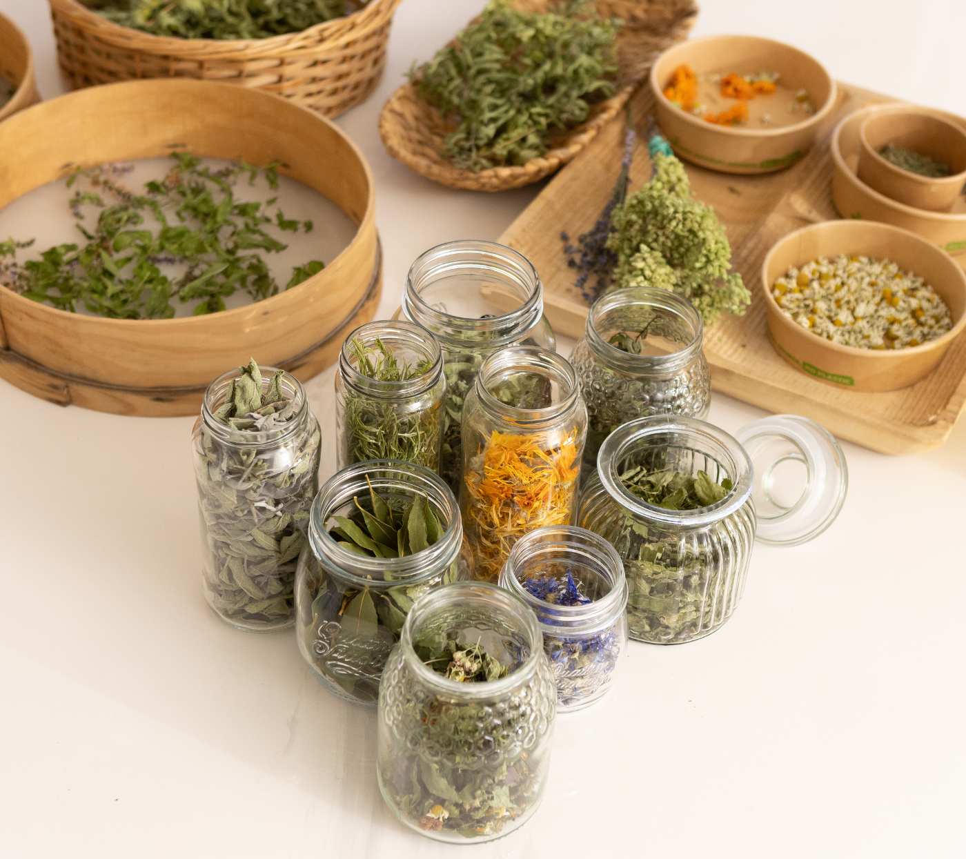 Receitas de Chás com Ervas Secas: Maximizando Sabor e Propriedades