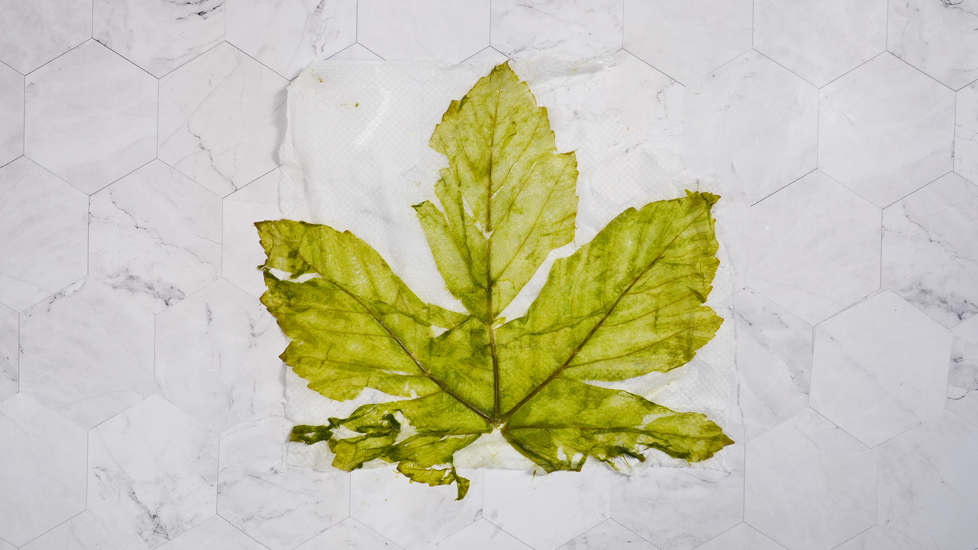 melhores formas de secar salada